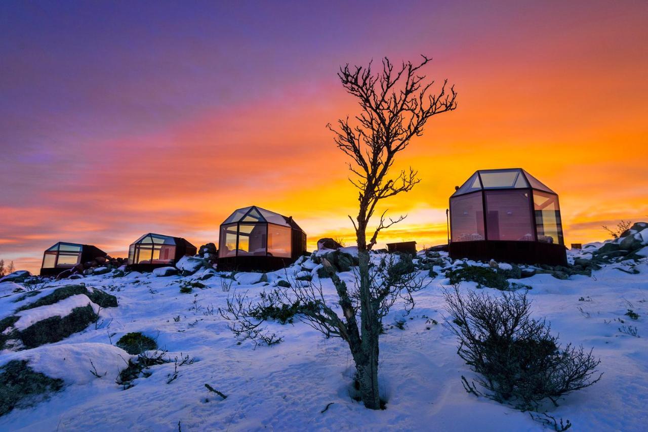 Kalle'S Inn Glass Houses Soderudden 外观 照片
